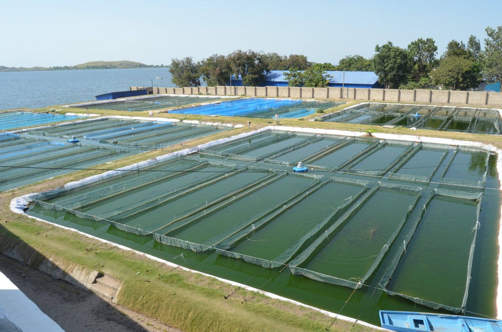 Eco-Friendly Cage Farming